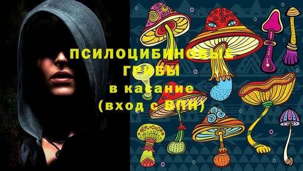 apvp Балахна