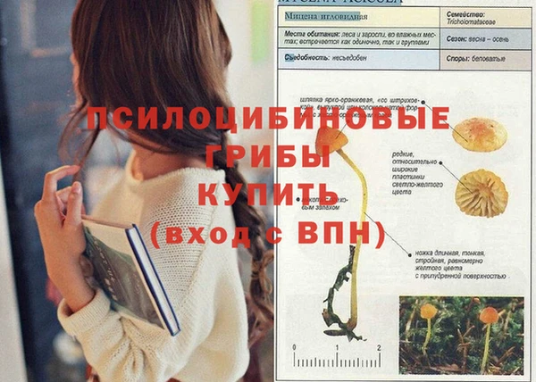 apvp Балахна